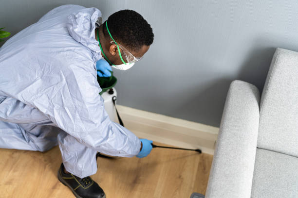 Reliable St Simons, GA Pest Control Solutions